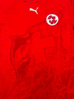 2006/08 Switzerland Home Shirt (L) 9/10