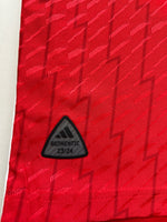 2023/24 Arsenal Home *Recalled* Shirt (L) 9.5/10