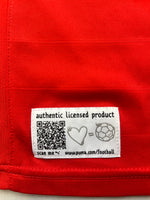 2012/14 Switzerland Home Shirt (S) 9/10