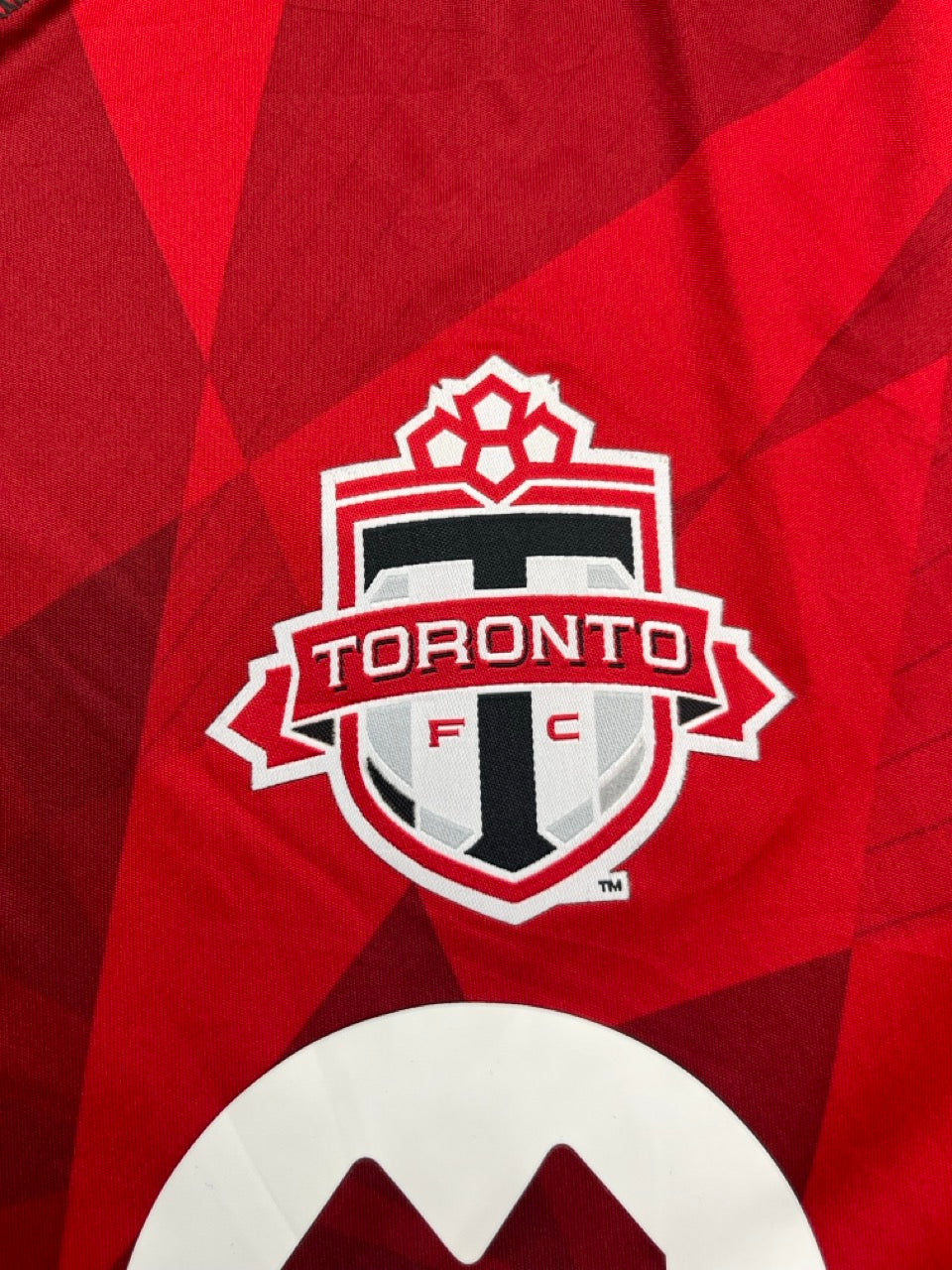 2013/14 Toronto FC Home Shirt (L) 9/10