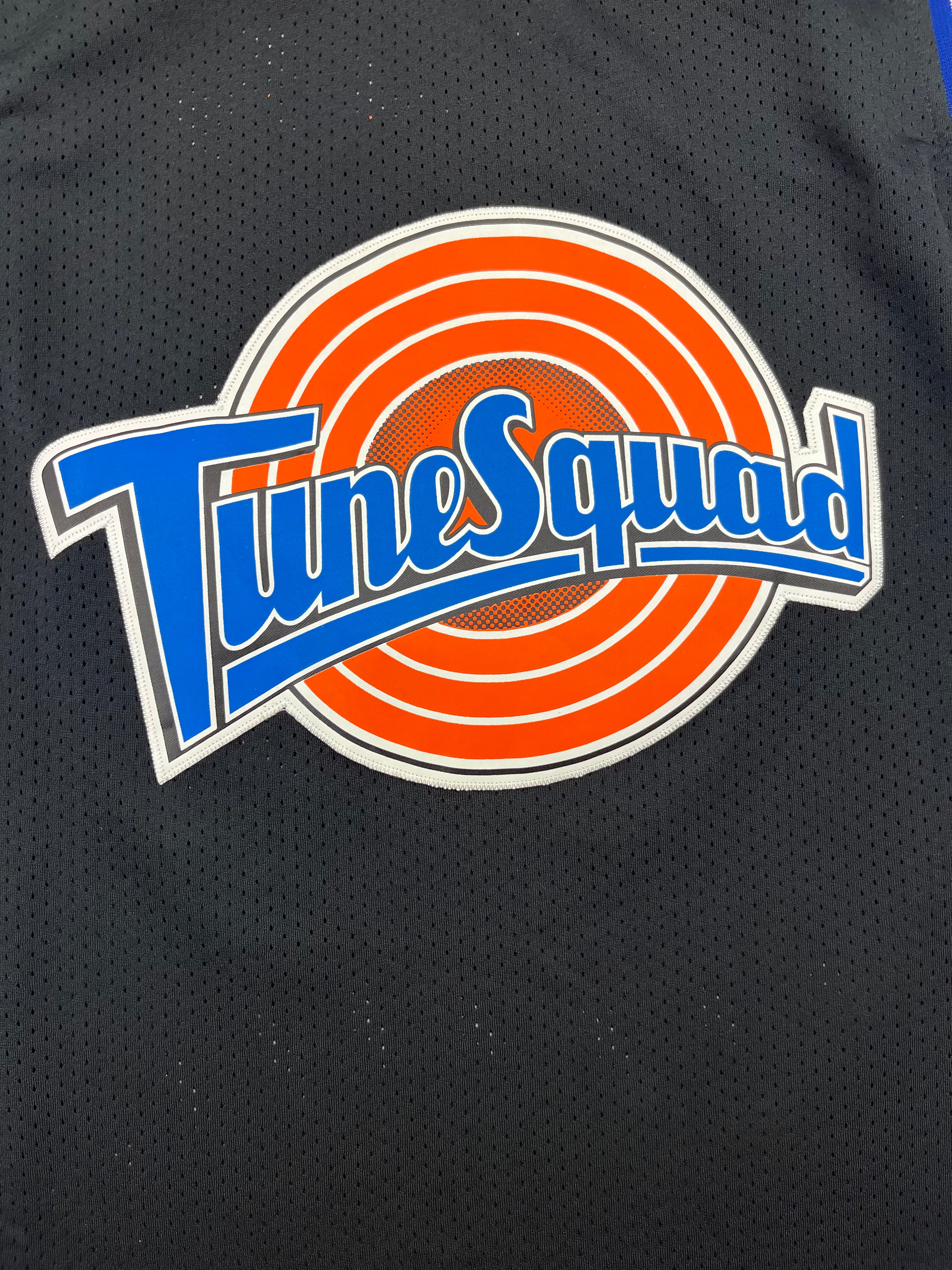 Vintage Tune Squad Champion Jersey James #6 (L) 9/10